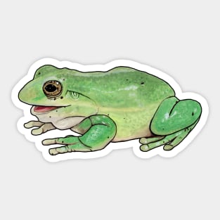 Tree Frog Sticker